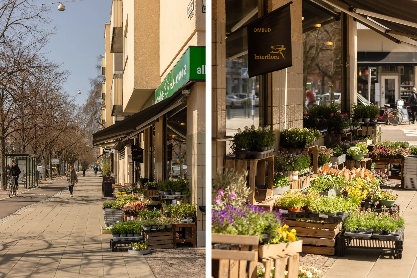 Bostadsrätt, Regementsgatan 74, Slottsstaden/Ribersborg, Malmö