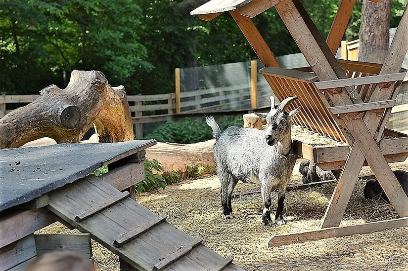 Bostadsrätt, Ivar Vidfamnes gata 9, Aspudden / Örnsberg, Stockholm