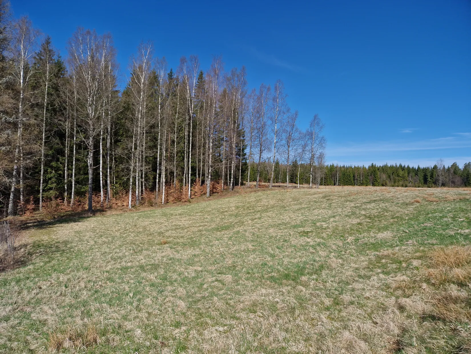 Gård/Skog, Smedserud 18, Munkedal