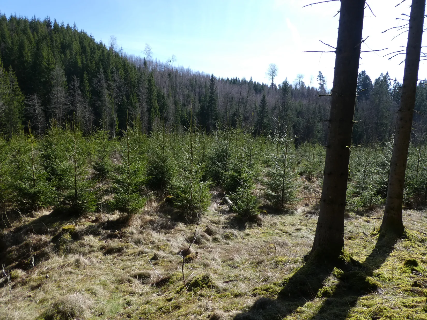 Gård/Skog, Smedserud 18, Munkedal