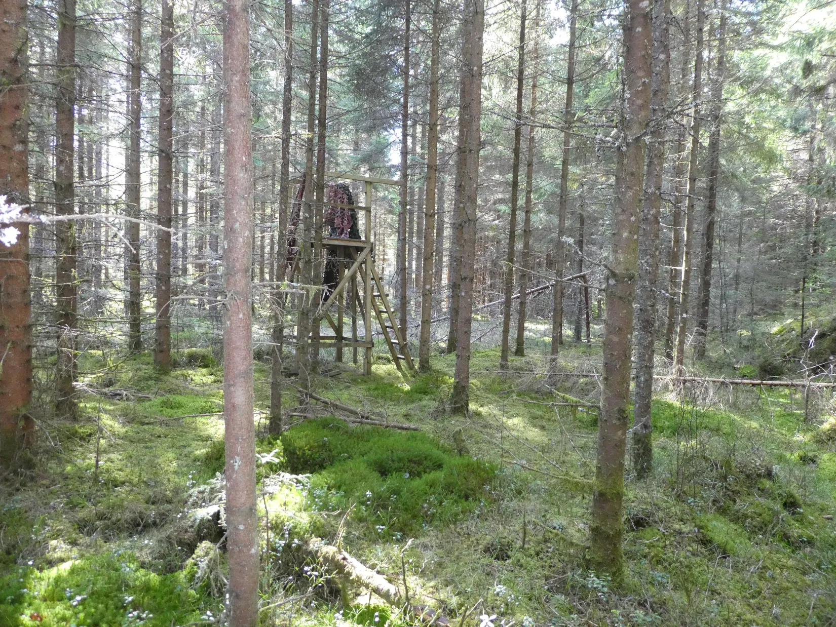 Gård/Skog, Smedserud 18, Munkedal