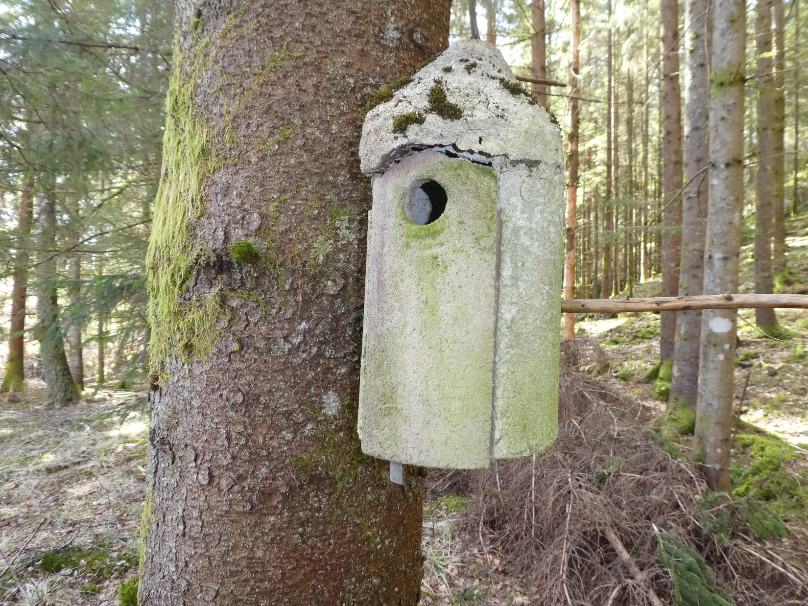 Gård/Skog, Smedserud 18, Munkedal