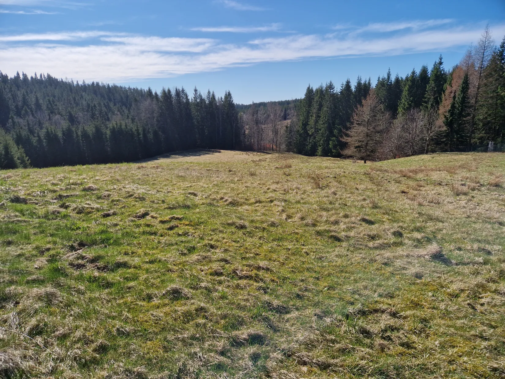 Gård/Skog, Smedserud 18, Munkedal