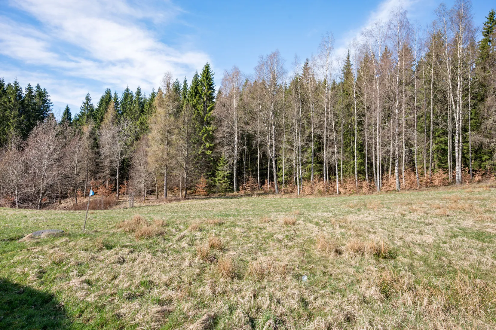 Gård/Skog, Smedserud 18, Munkedal