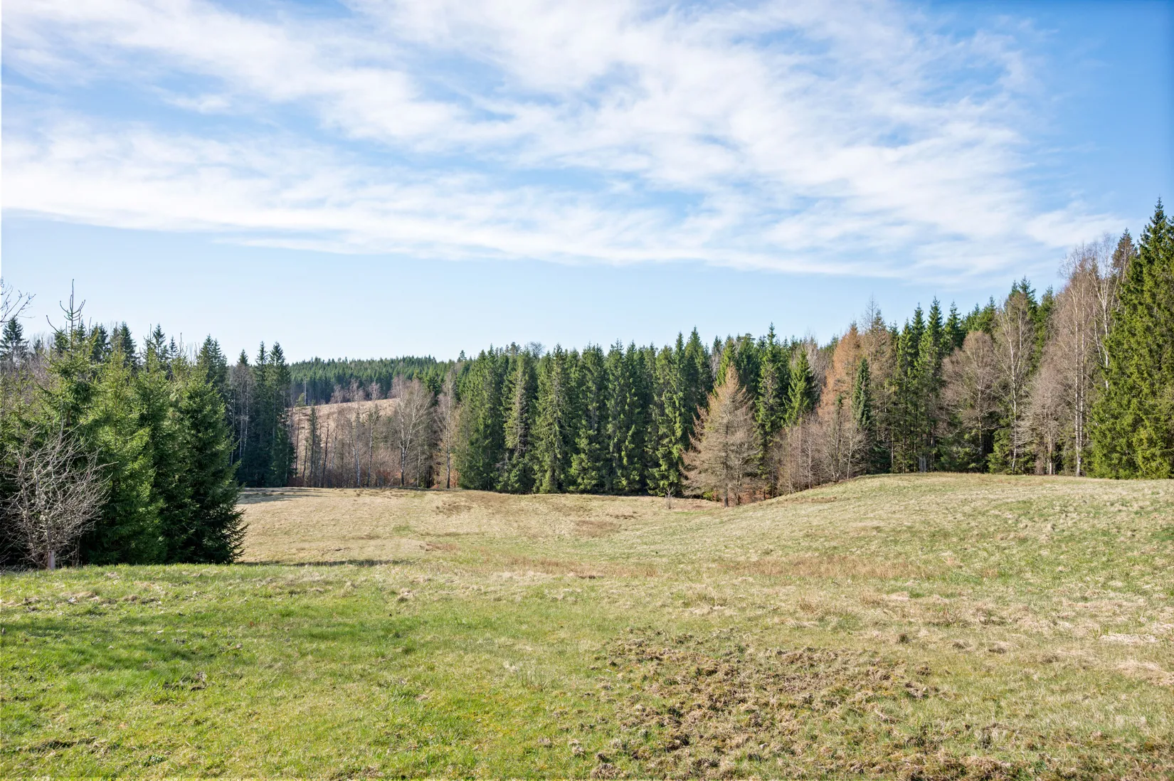 Gård/Skog, Smedserud 18, Munkedal