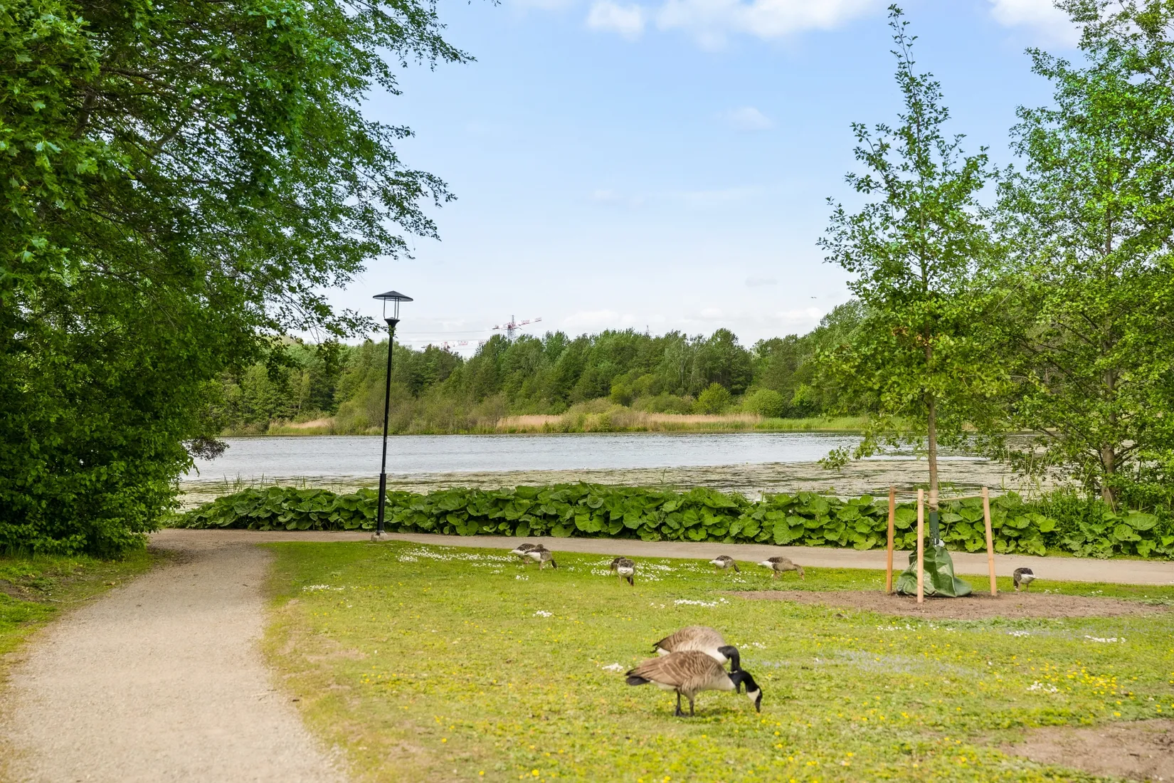 Bostadsrätt, Sjövägen 2, Råsunda, Solna