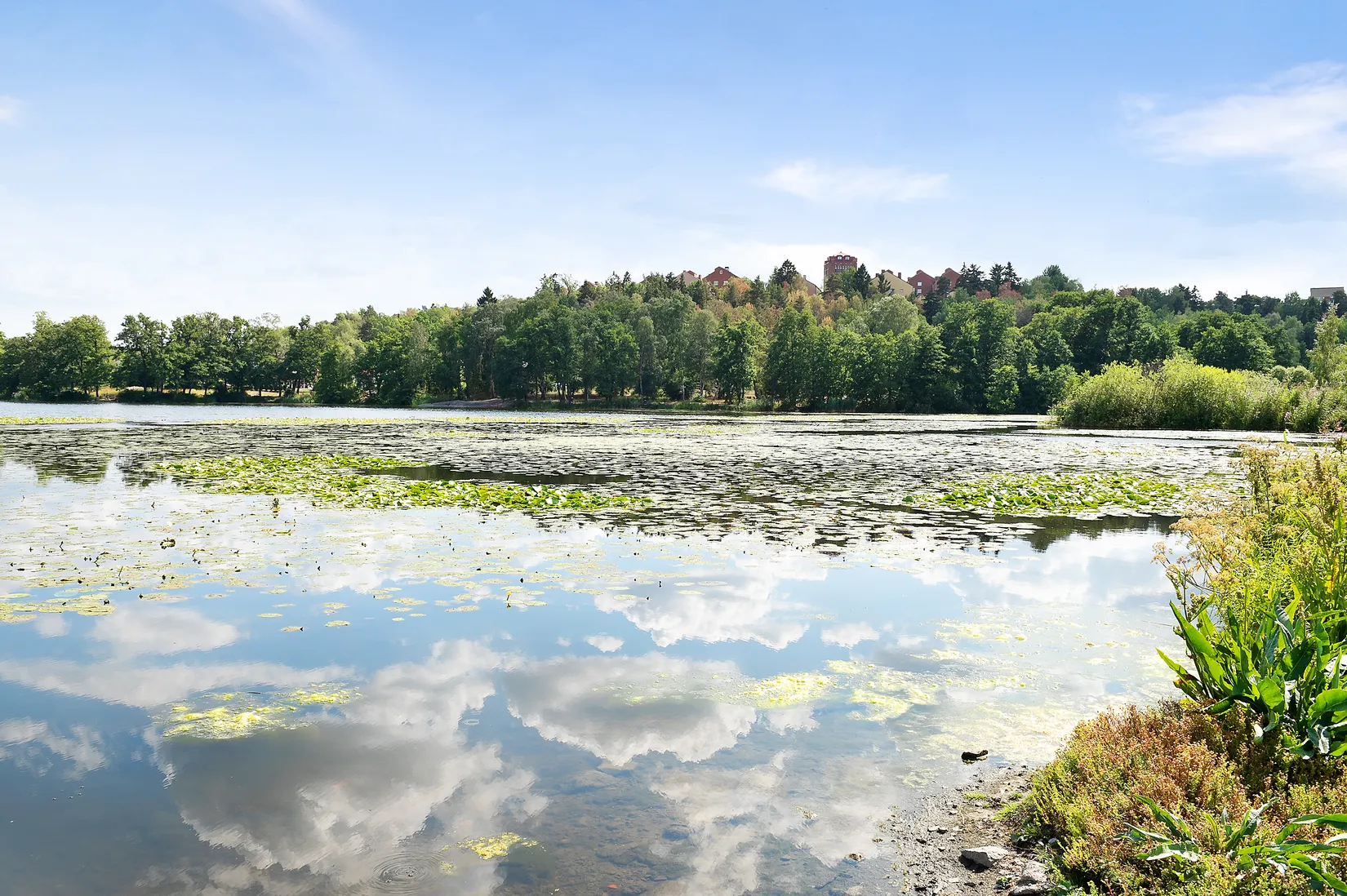 Bostadsrätt, Södra Långgatan 32, Råsunda, Solna