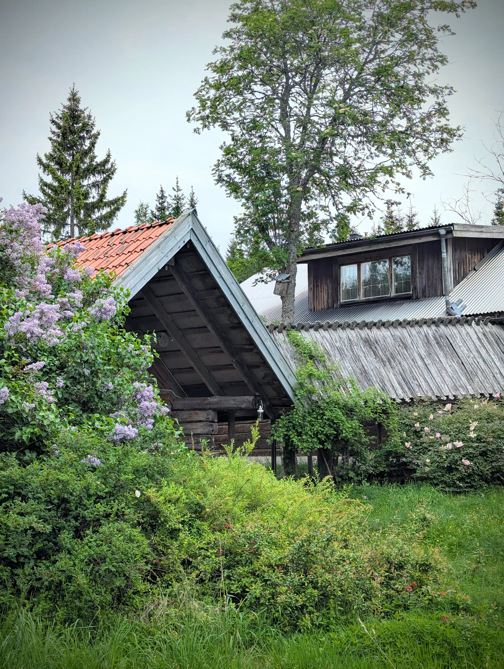Villa,  Skogsliden 77, Vattholma / Tensta, Uppsala