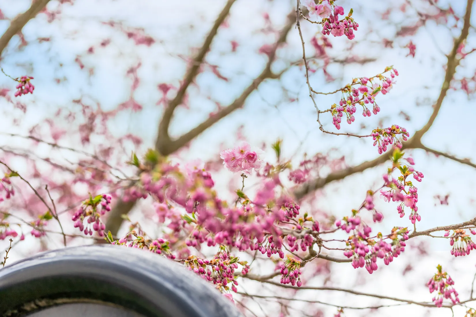 Bostadsrätt, Karl Dahlgrensgatan 21, Kanberget, Linköping
