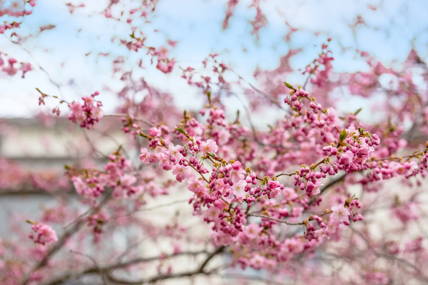 Bostadsrätt, Karl Dahlgrensgatan 21, Kanberget, Linköping