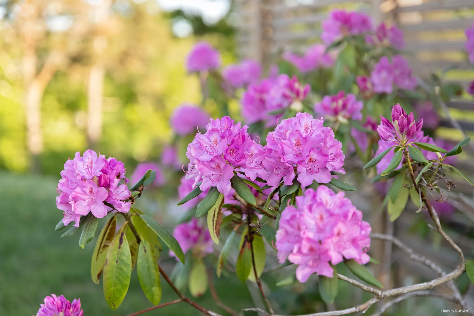 Villa, Ingmans väg 12, Ammenäs, Uddevalla