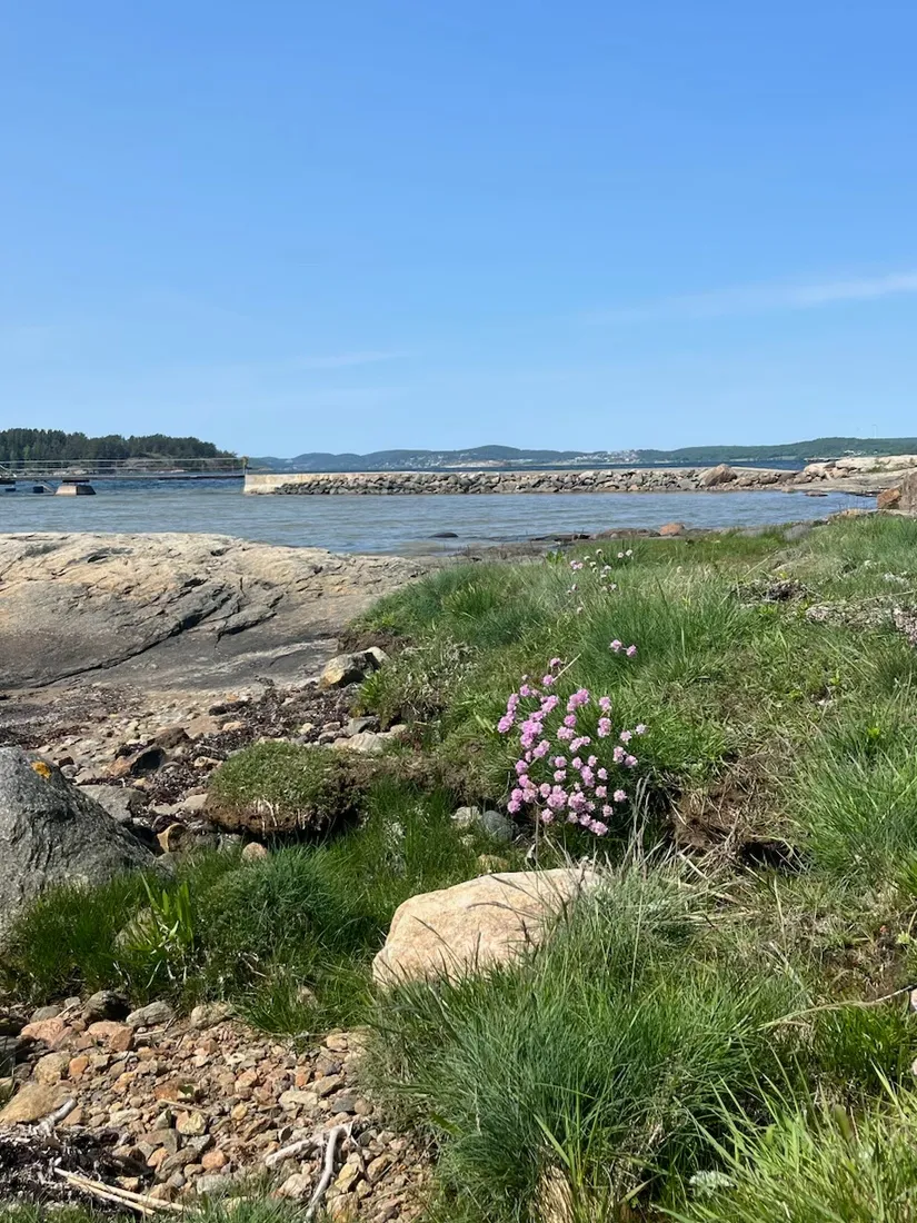 Villa, Ingmans väg 12, Ammenäs, Uddevalla