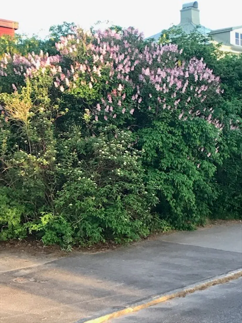 Villa, Kastellgatan 30, Härnön, Härnösand