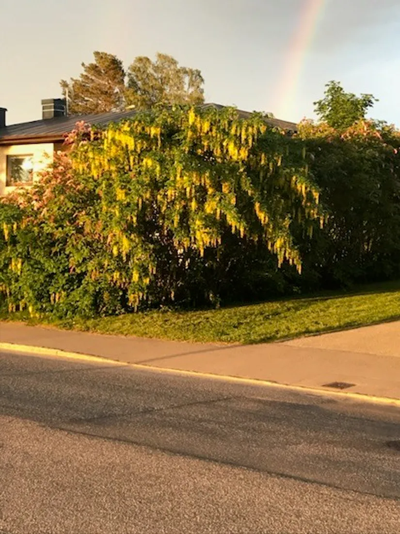 Villa, Kastellgatan 30, Härnön, Härnösand