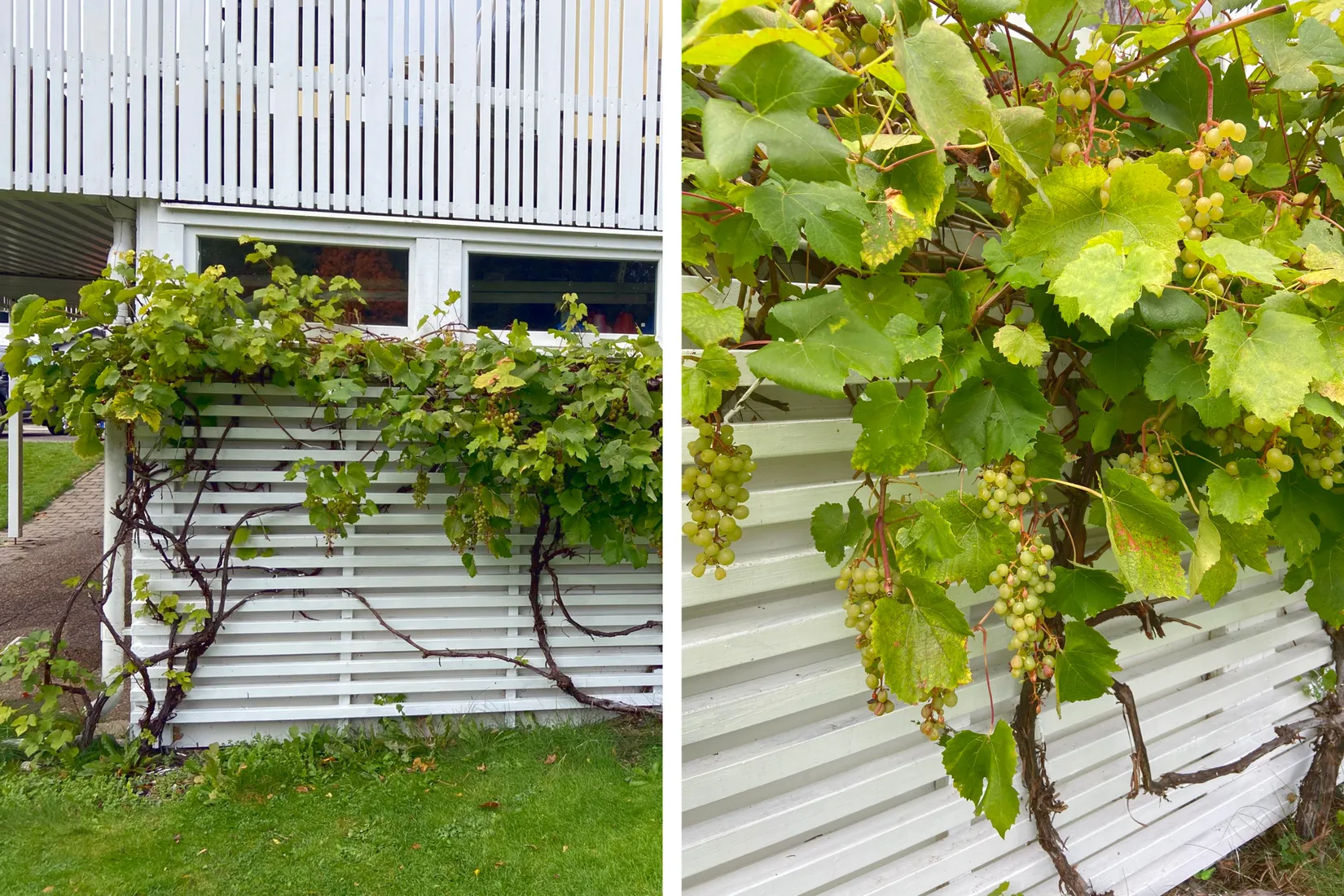 Villa, Hagtornsliden 18, Trandared, Borås