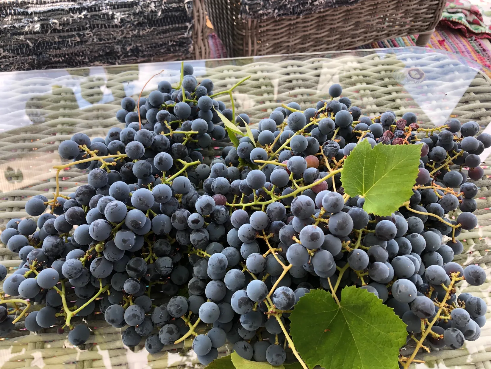 Villa, Blackstalund 325, Uppsala