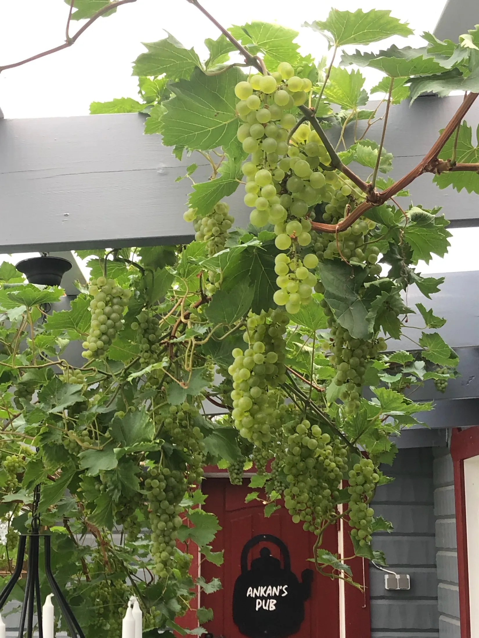 Villa, Blackstalund 325, Uppsala