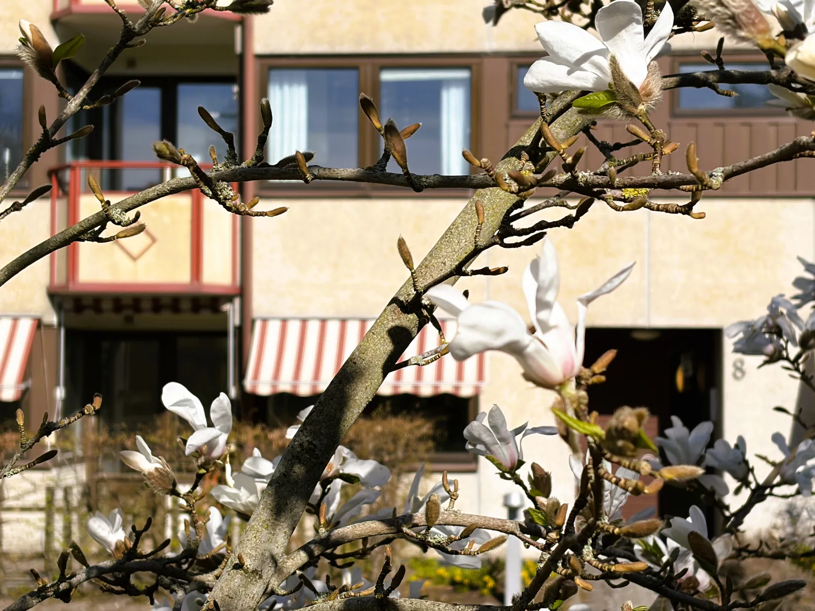 Bostadsrätt, Askåkersplan 8, Askim, Göteborg