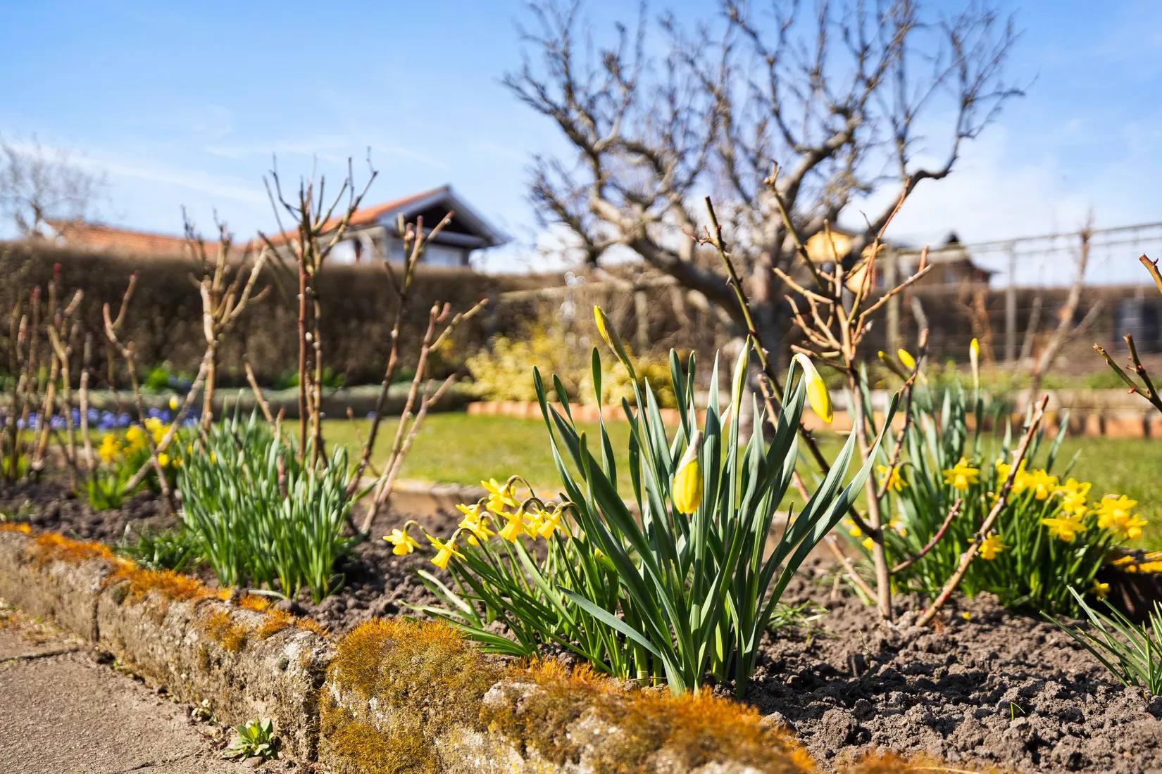 Fritidshus, Tagetesgången 143 , Östra Sommarstadens Koloniområde, Ystad
