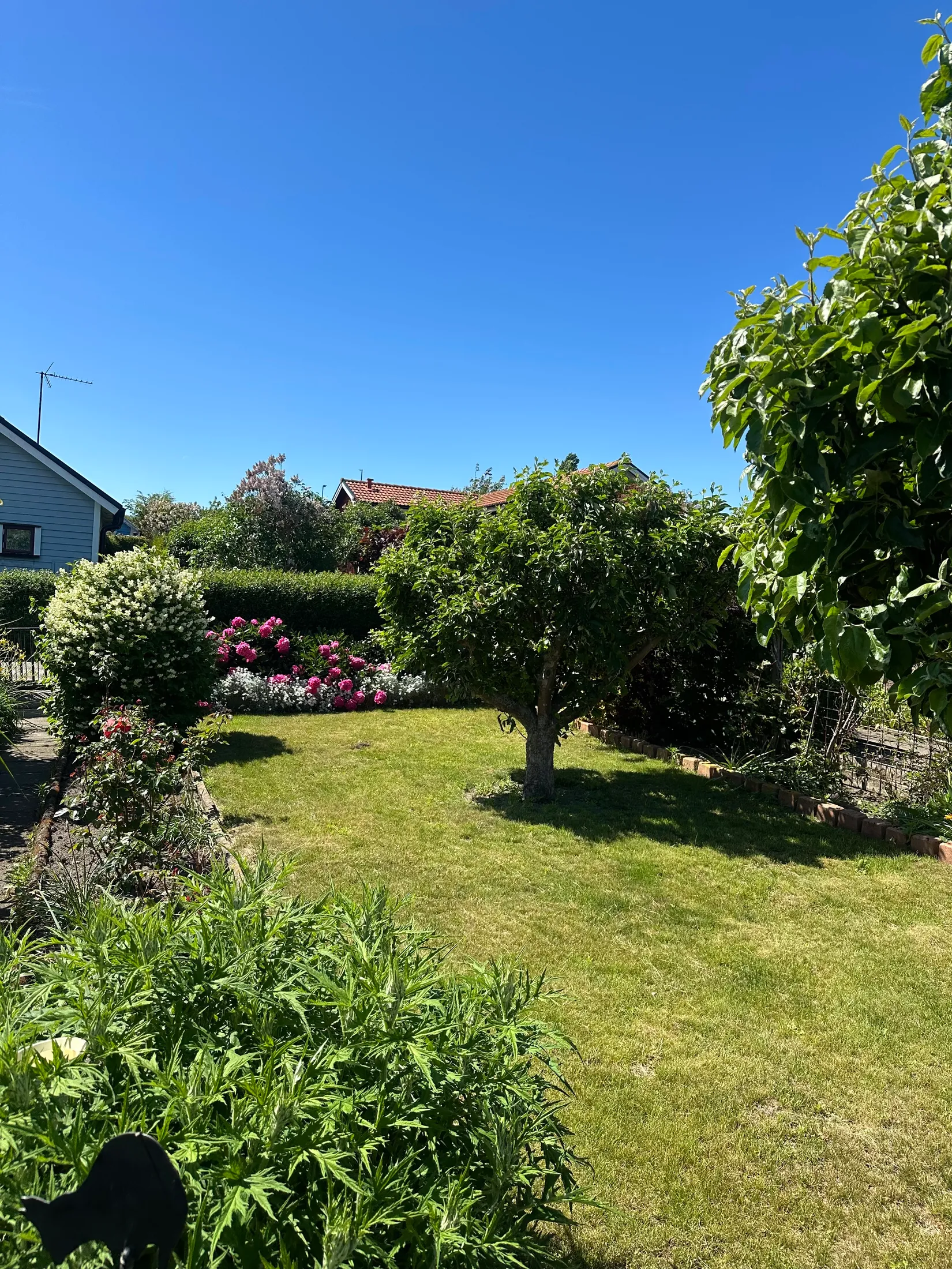 Fritidshus, Tagetesgången 143 , Östra Sommarstadens Koloniområde, Ystad