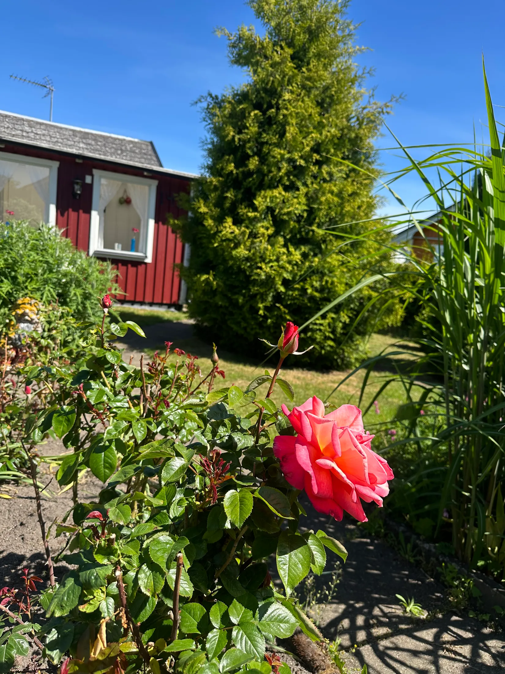 Fritidshus, Tagetesgången 143 , Östra Sommarstadens Koloniområde, Ystad