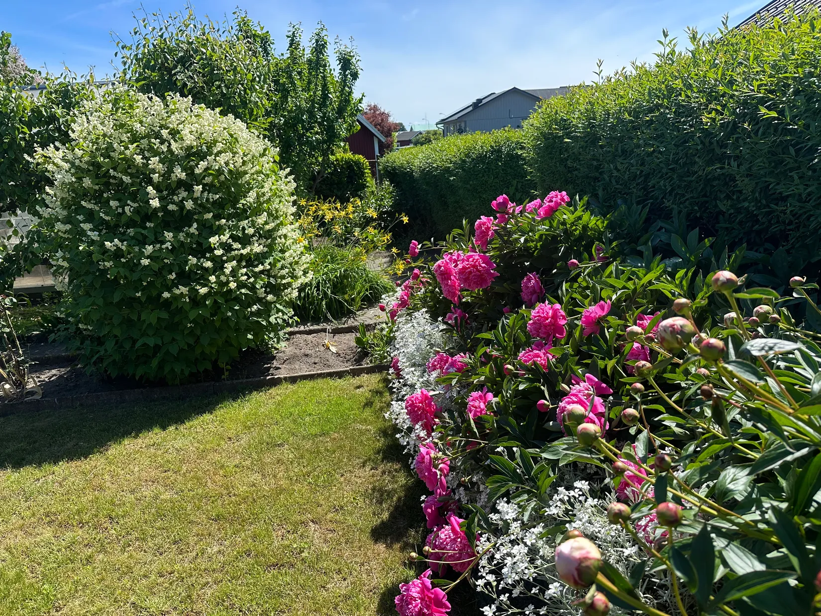 Fritidshus, Tagetesgången 143 , Östra Sommarstadens Koloniområde, Ystad