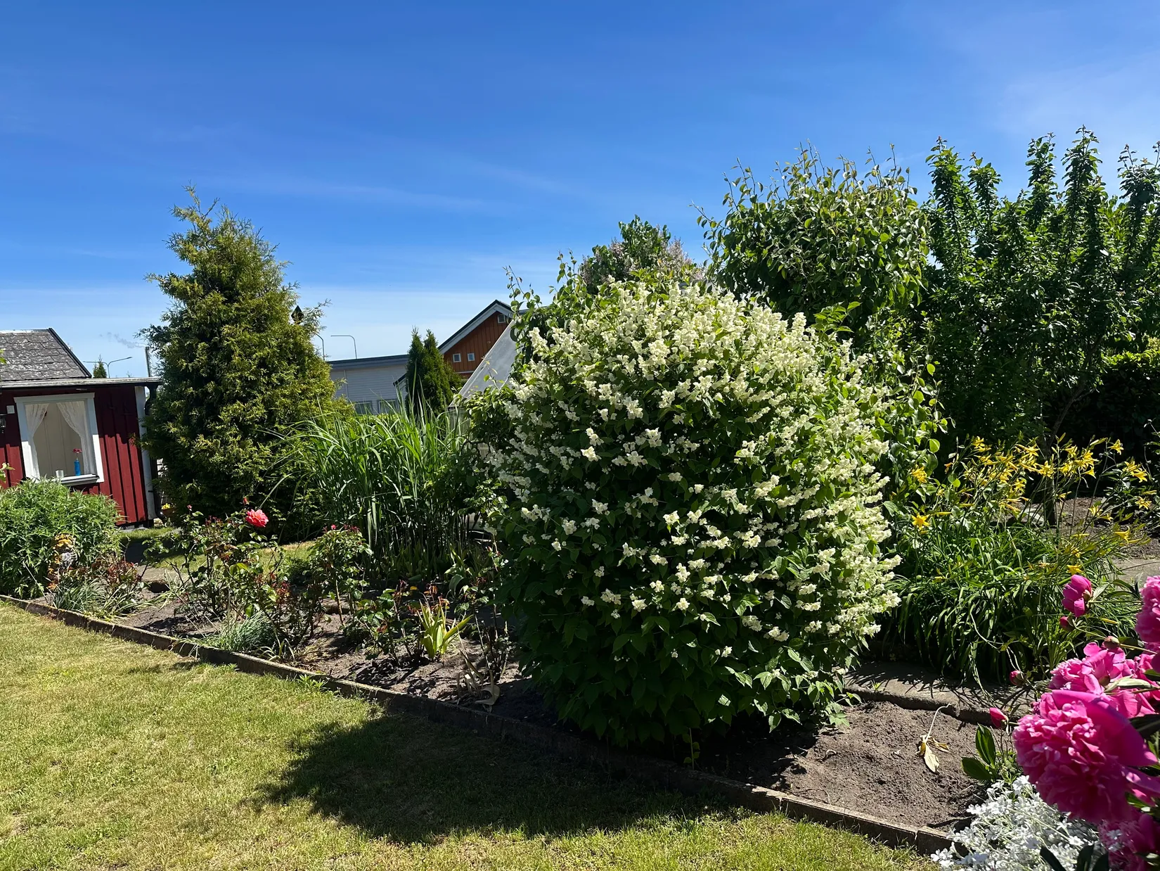 Fritidshus, Tagetesgången 143 , Östra Sommarstadens Koloniområde, Ystad