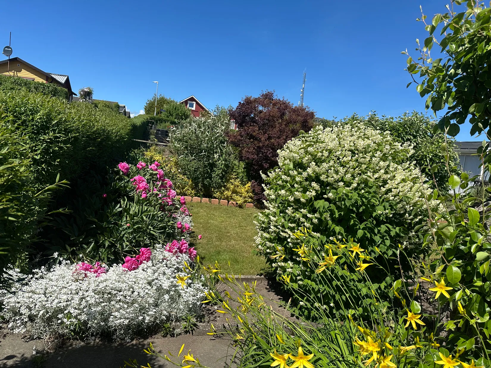 Fritidshus, Tagetesgången 143 , Östra Sommarstadens Koloniområde, Ystad