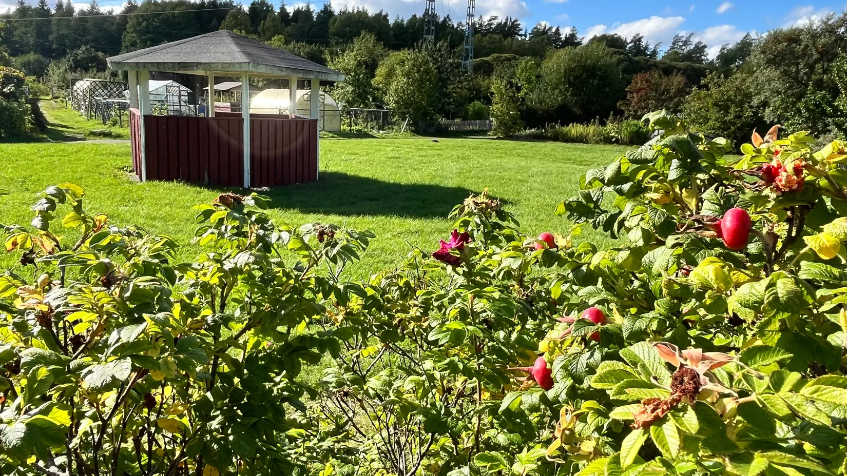 Fritidshus, Vaxmyra kolonistuga nr 93, Runby, Upplands Väsby