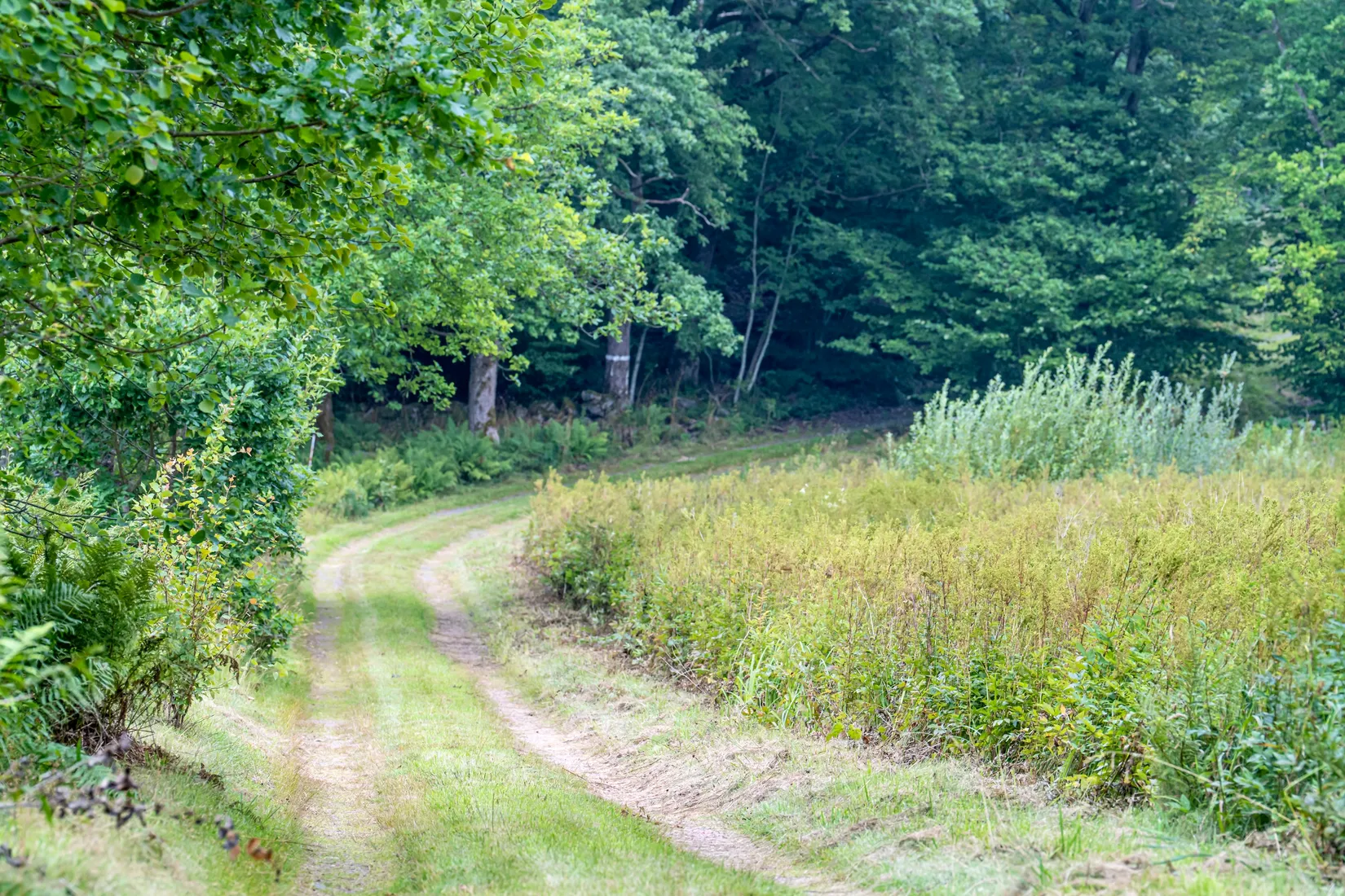 Fritidshus, Håvhålt 105, Uddevalla