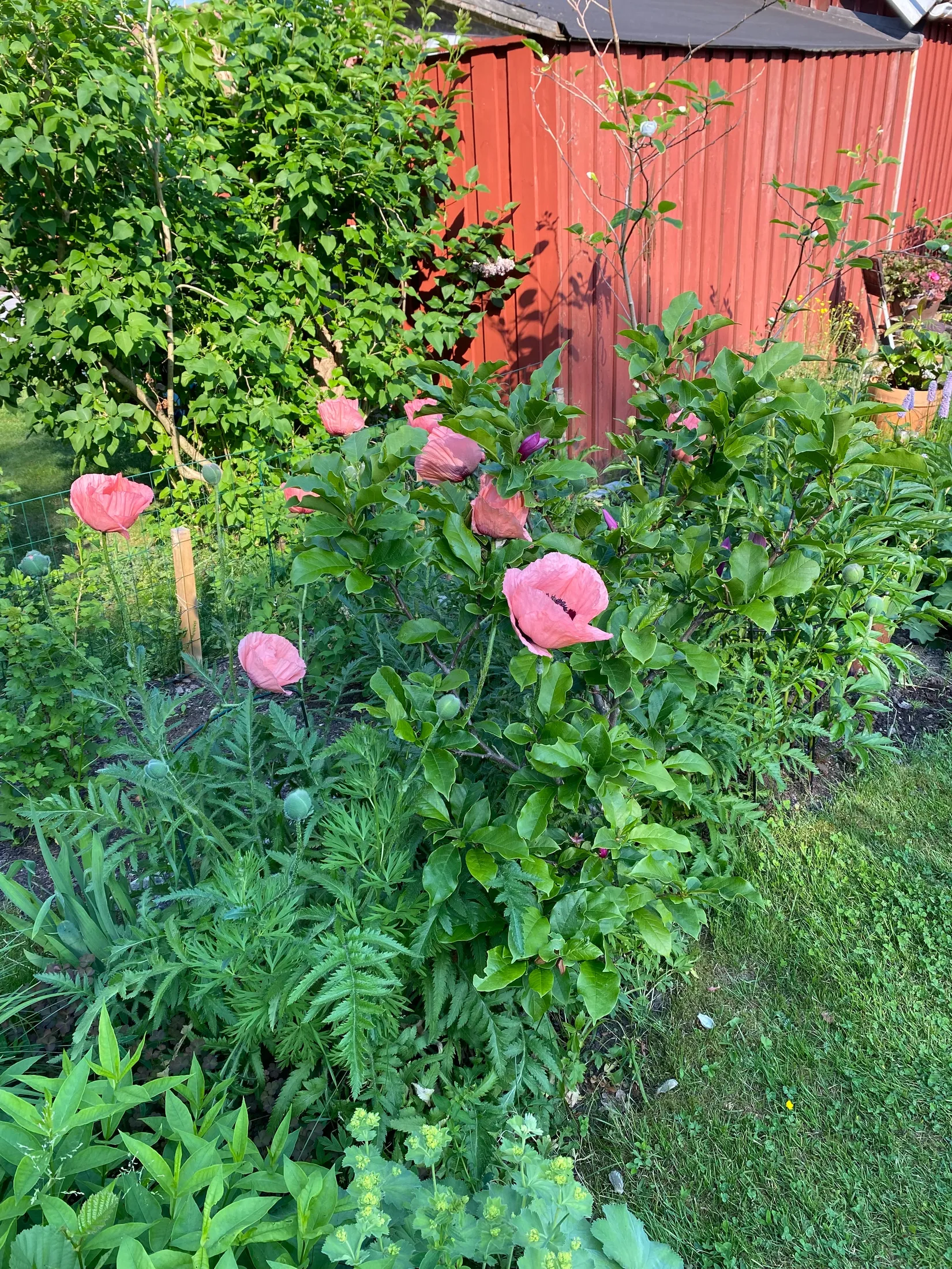 Fritidshus, Nybyggarvägen 15, Hjortens odling/Malma, Värmdö