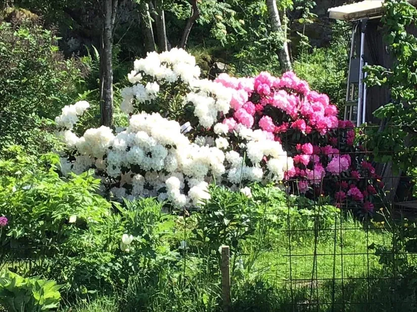 Fritidshus, Nybyggarvägen 15, Hjortens odling/Malma, Värmdö