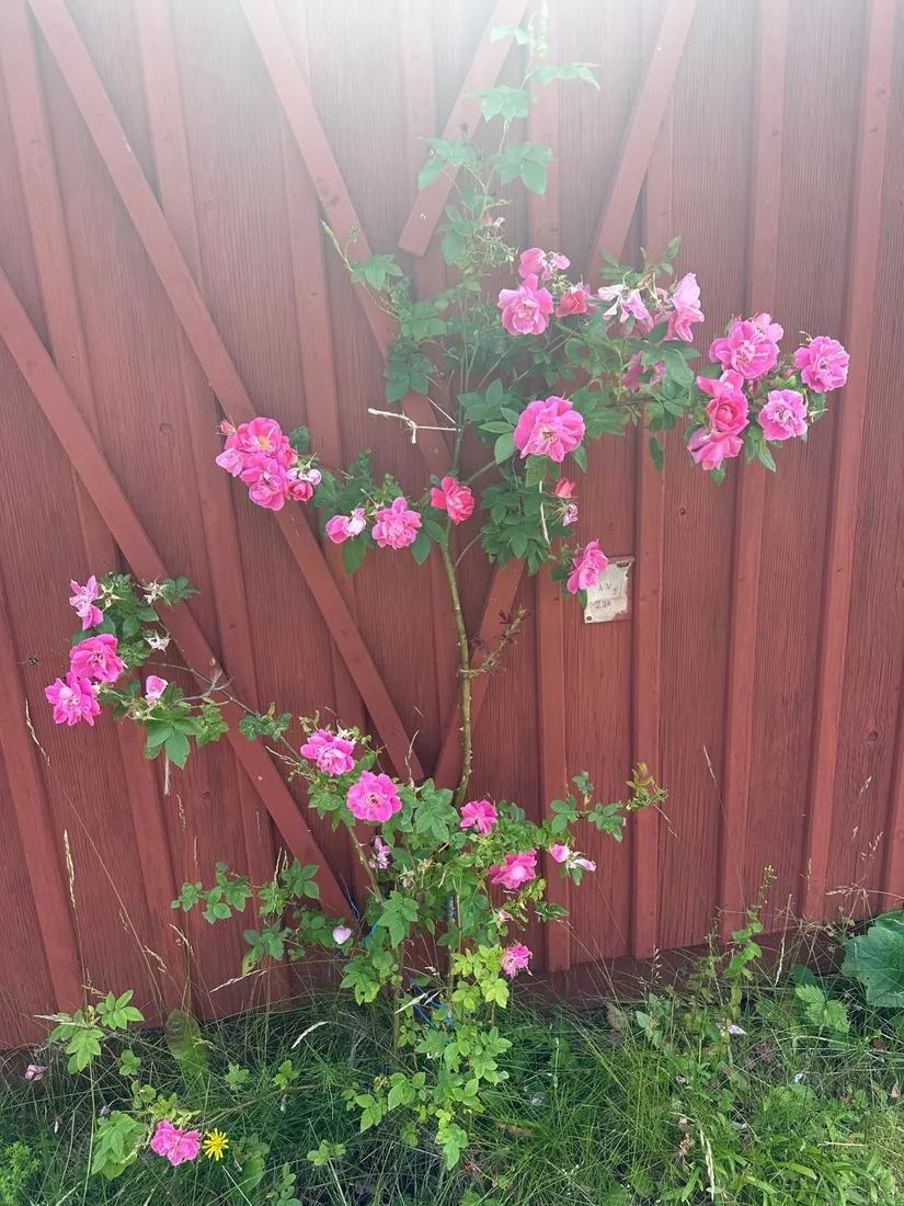 Fritidshus, Nybyggarvägen 15, Hjortens odling/Malma, Värmdö