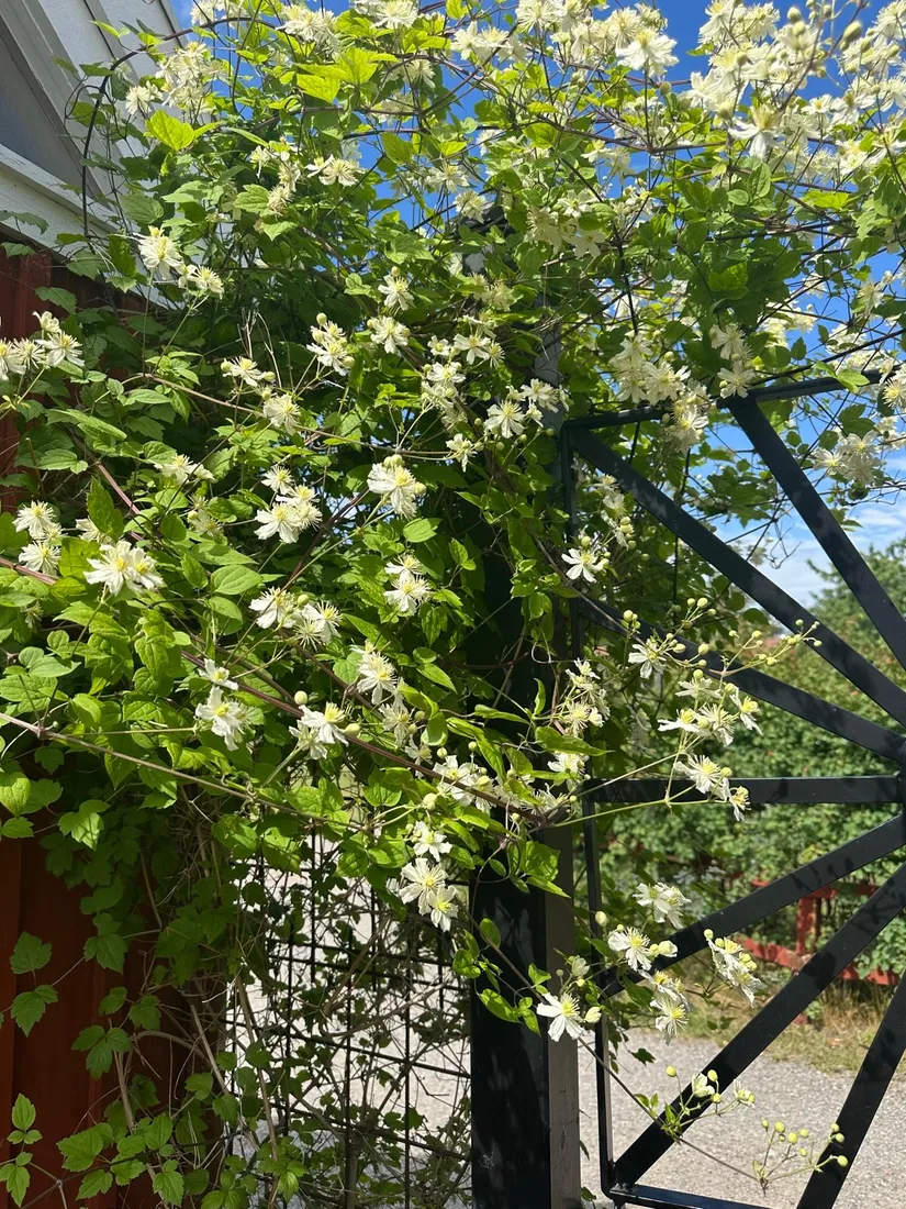 Fritidshus, Nybyggarvägen 15, Hjortens odling/Malma, Värmdö