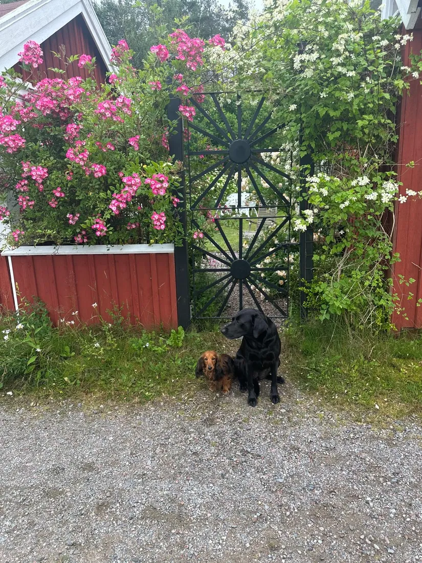 Fritidshus, Nybyggarvägen 15, Hjortens odling/Malma, Värmdö