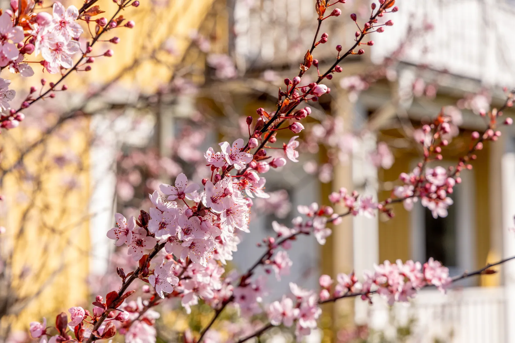 Villa, Södra vägen 58, Svalliden, Oskarshamn
