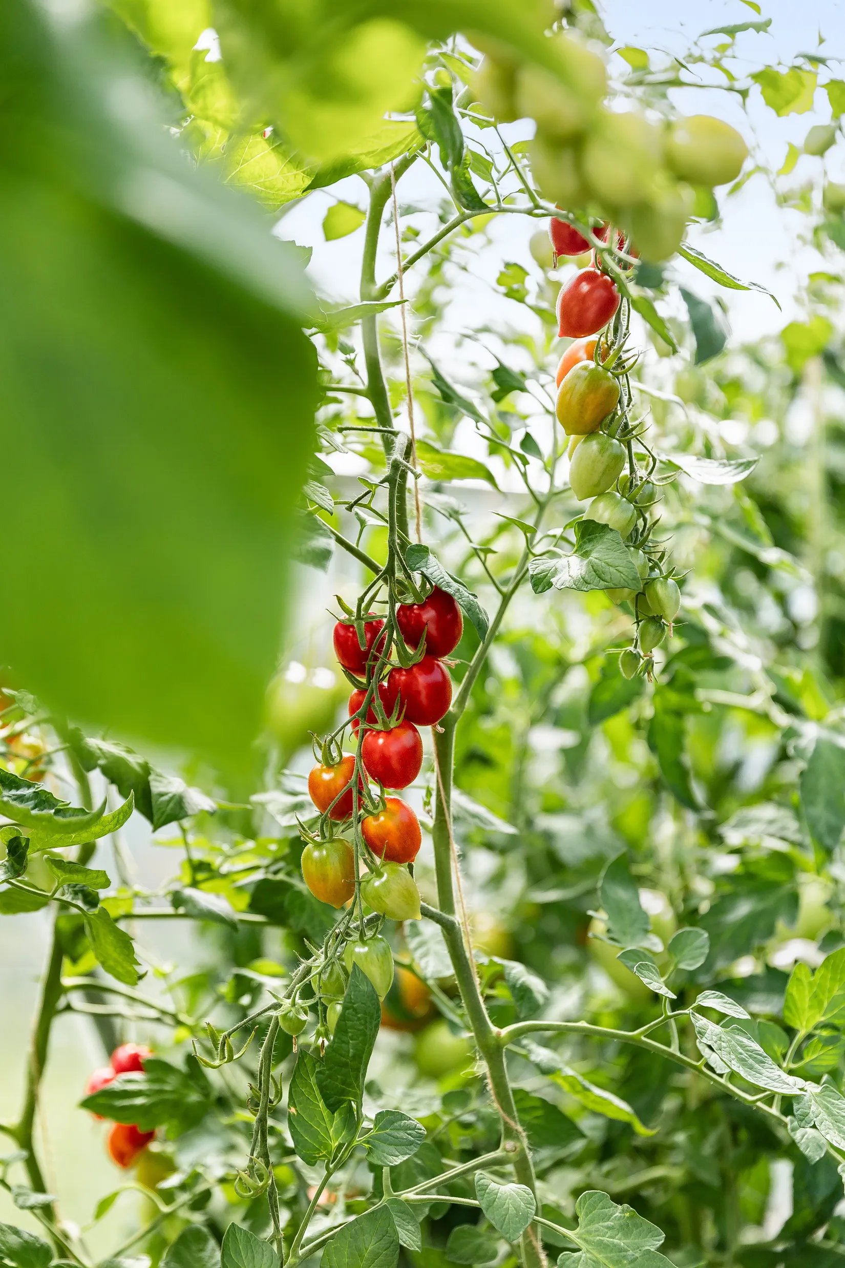 Villa, Dömestad Tallbacken 1, Landet Västerlösa, Linköping