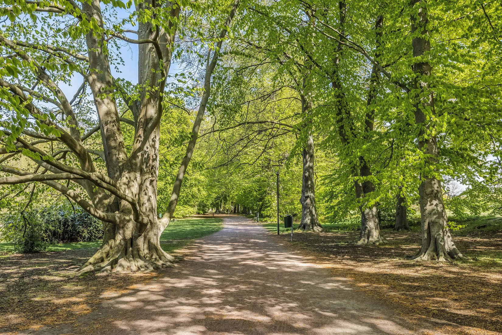 Bostadsrätt, Sandbackegatan 8A, Kirseberg, Malmö