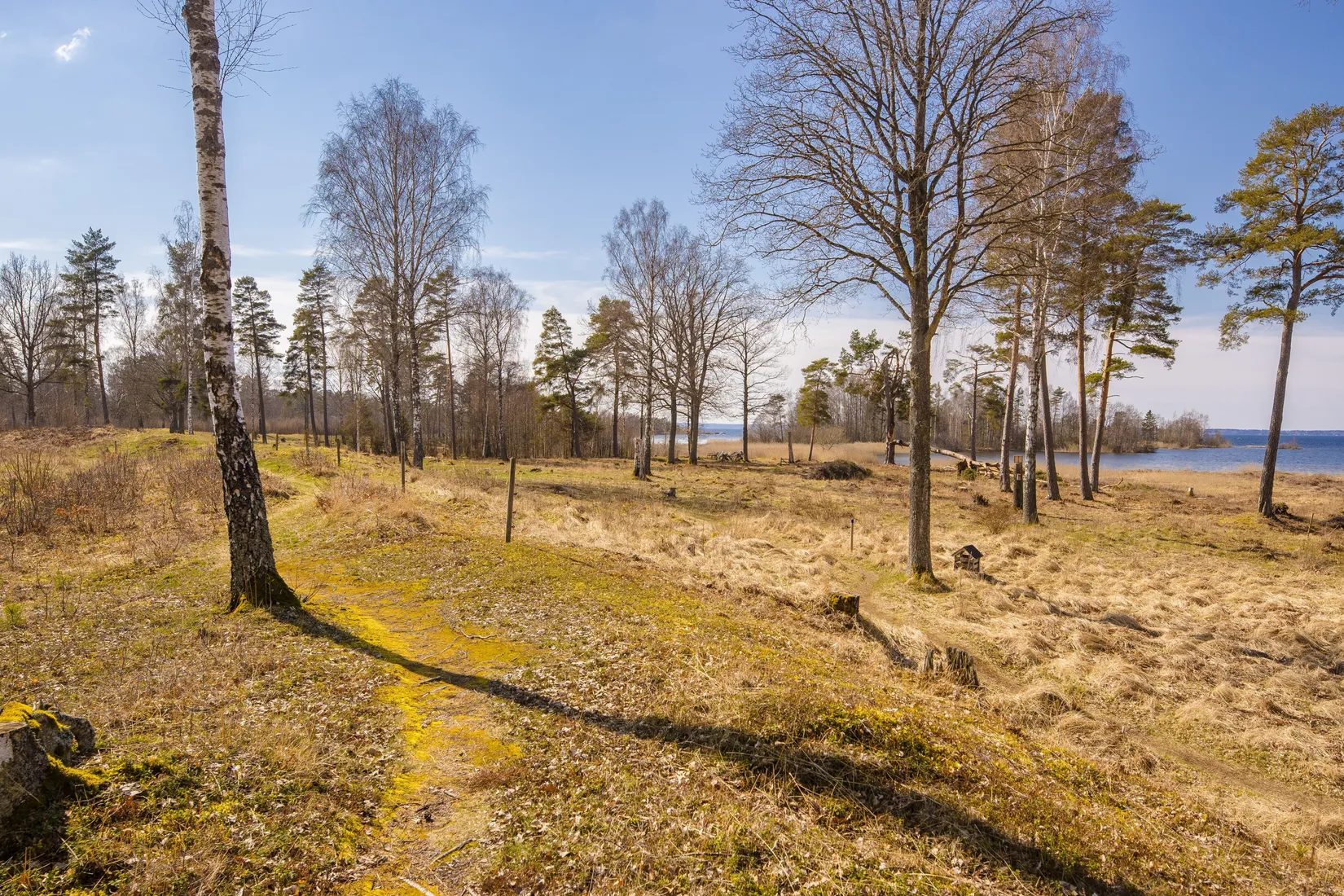 Villa, Blomberg Lindvägen 29, Götene