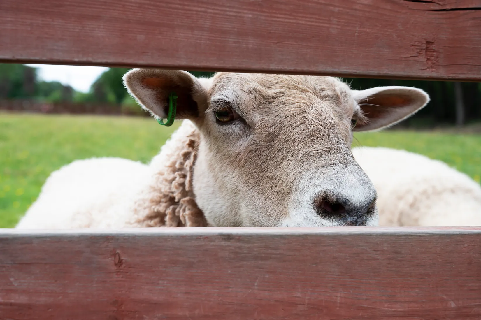 Villa, Bälingevägen 9, Örby, Stockholm