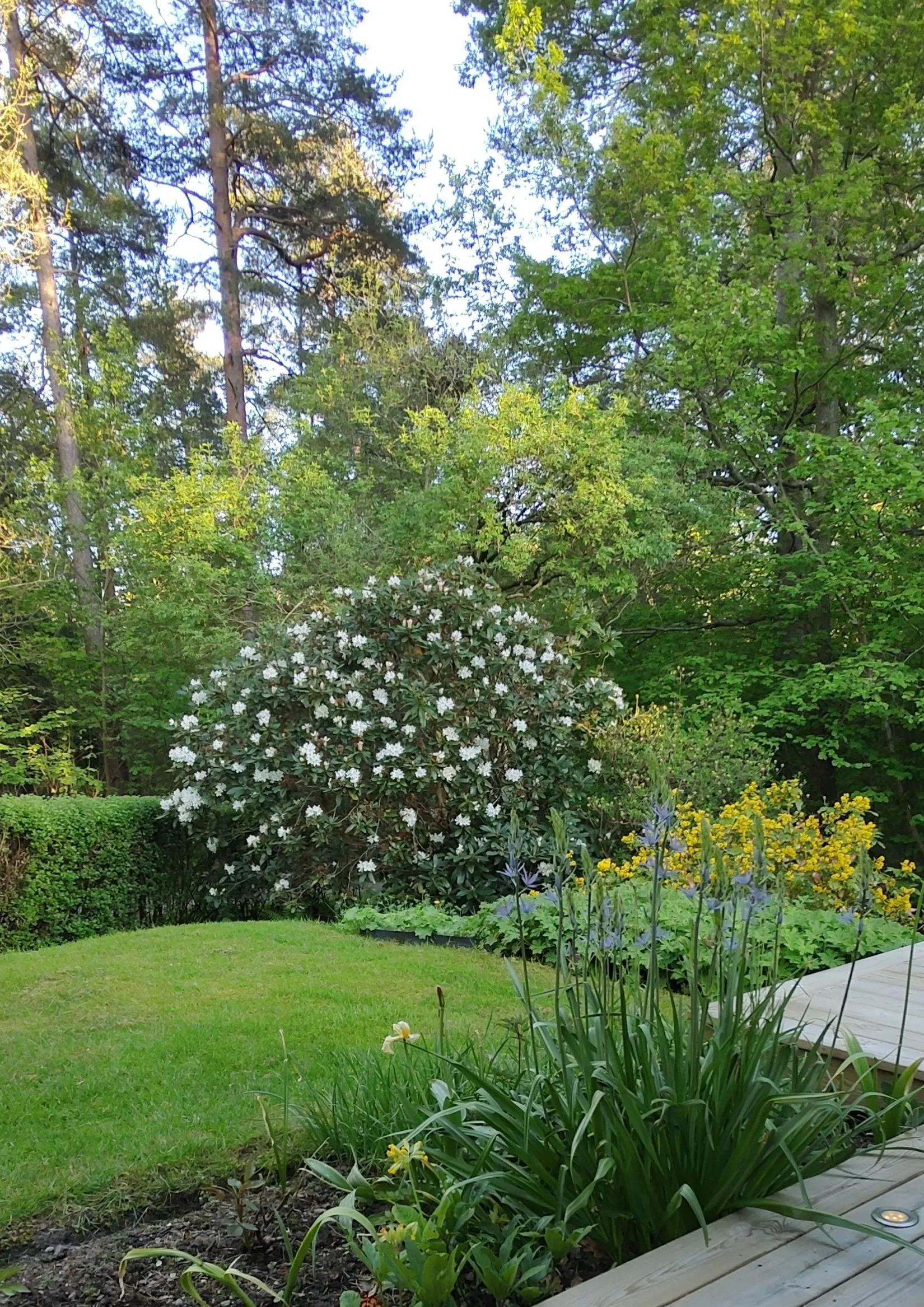 Villa, Draghästvägen 27, Göteborg