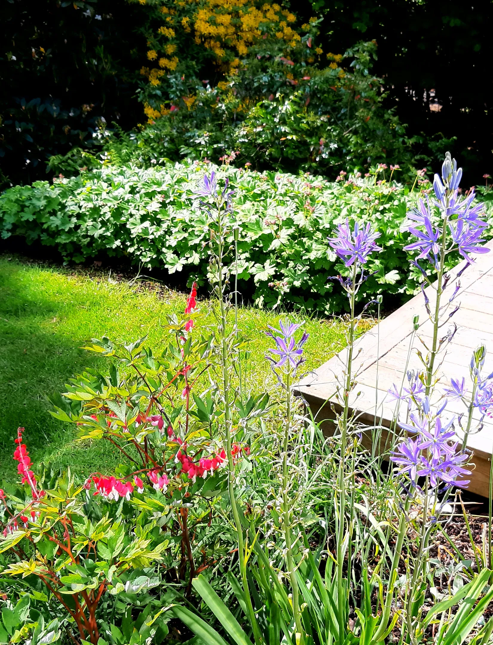 Villa, Draghästvägen 27, Göteborg