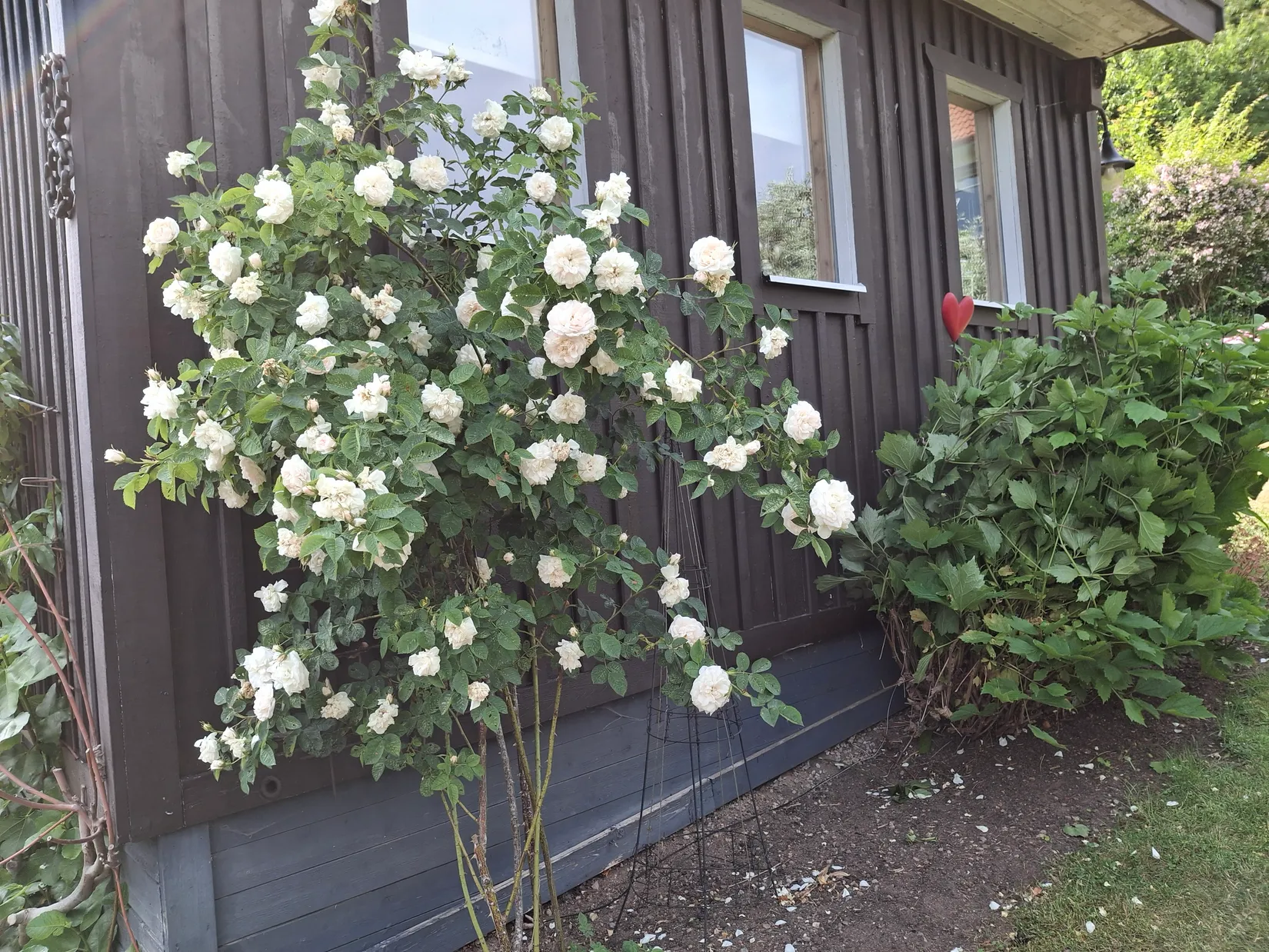 Villa, Ejdervägen 8, Ronneby kommun, Ronneby