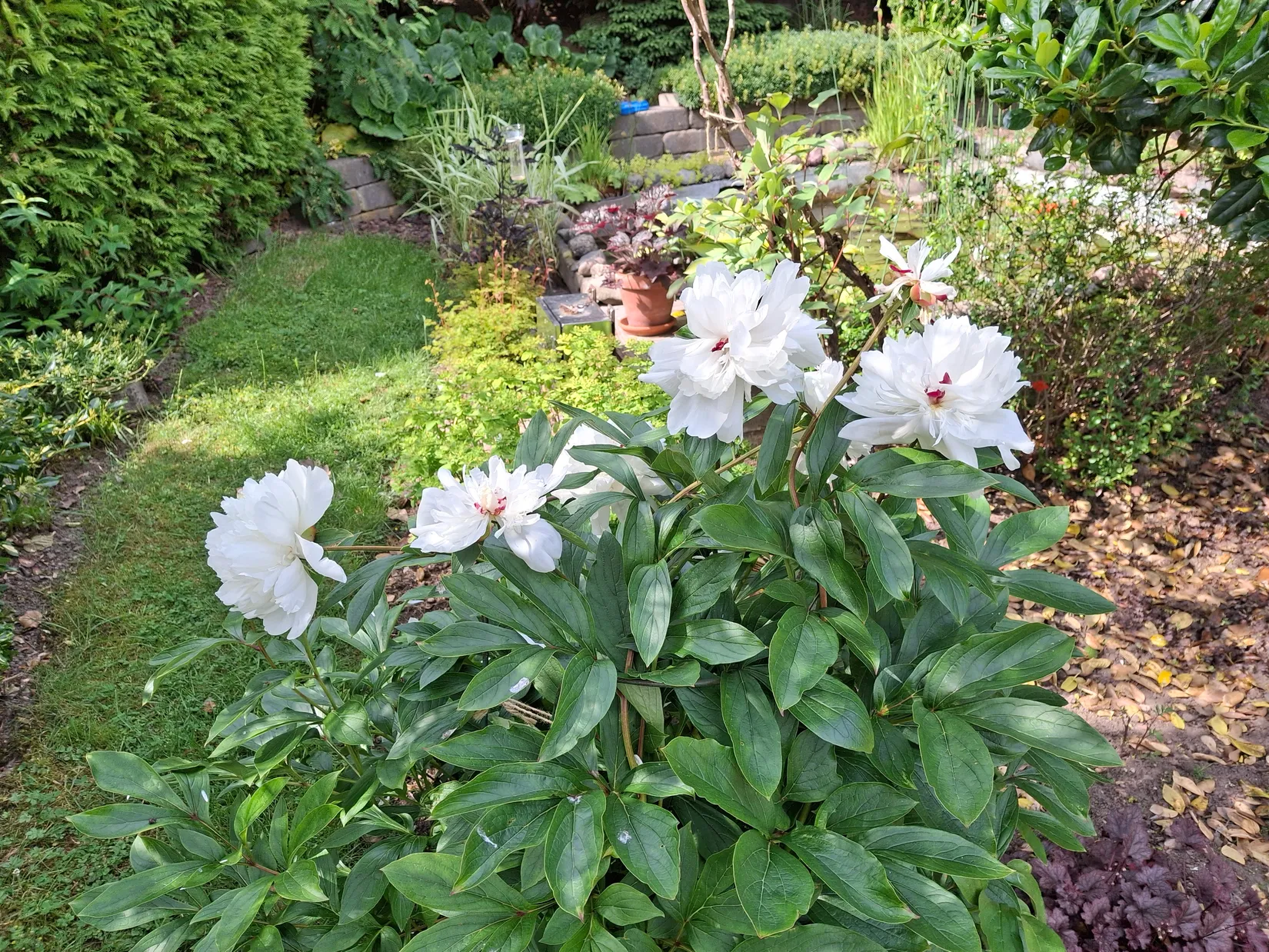 Villa, Ejdervägen 8, Ronneby kommun, Ronneby