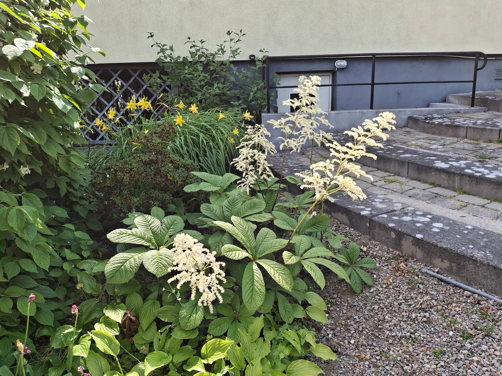 Villa, Ejdervägen 8, Ronneby kommun, Ronneby