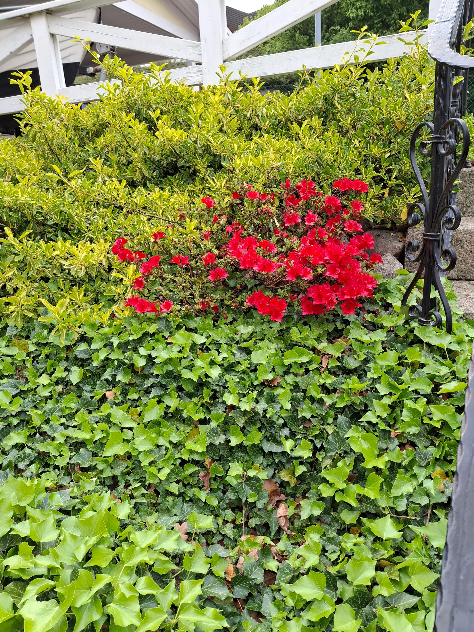 Villa, Ejdervägen 8, Ronneby kommun, Ronneby