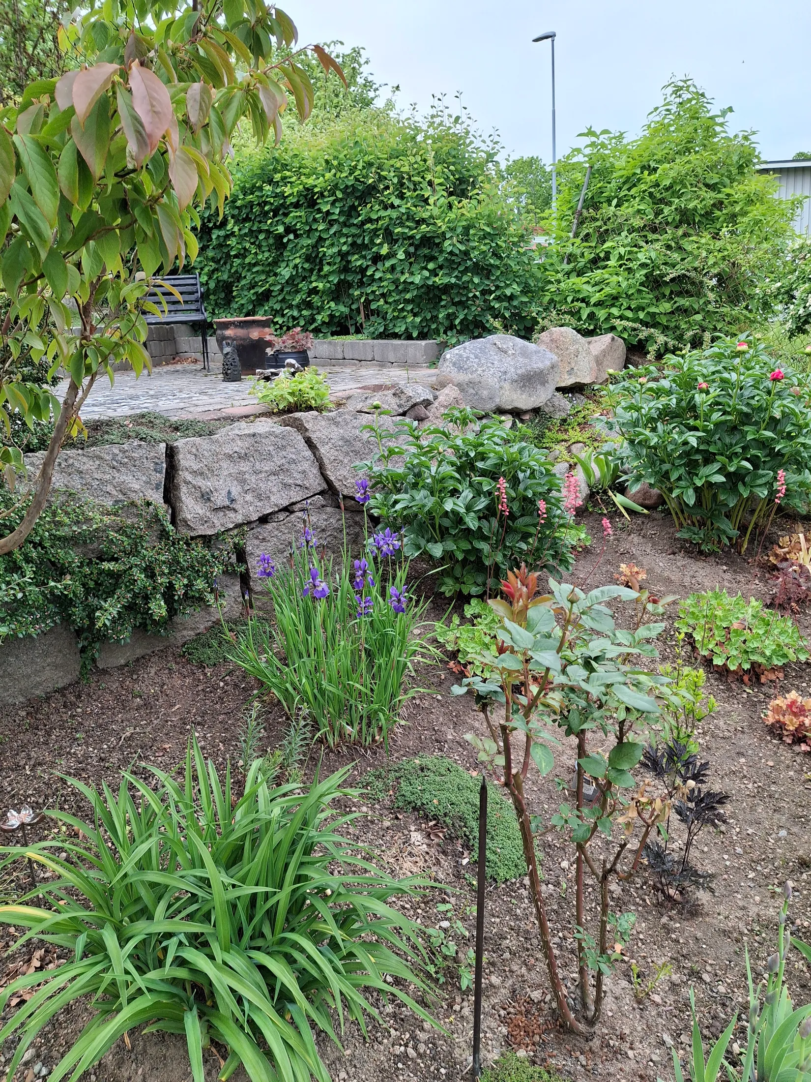 Villa, Ejdervägen 8, Ronneby kommun, Ronneby