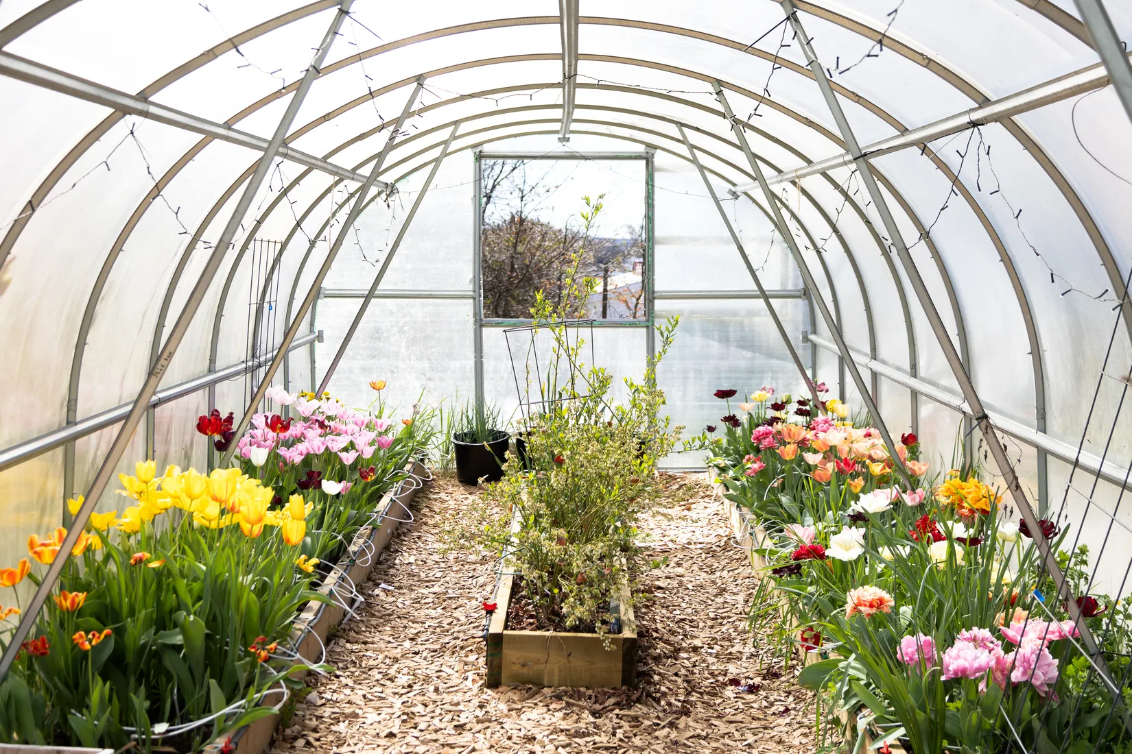 Villa, Skavkulla udde 25, Skavkulla, Karlskrona