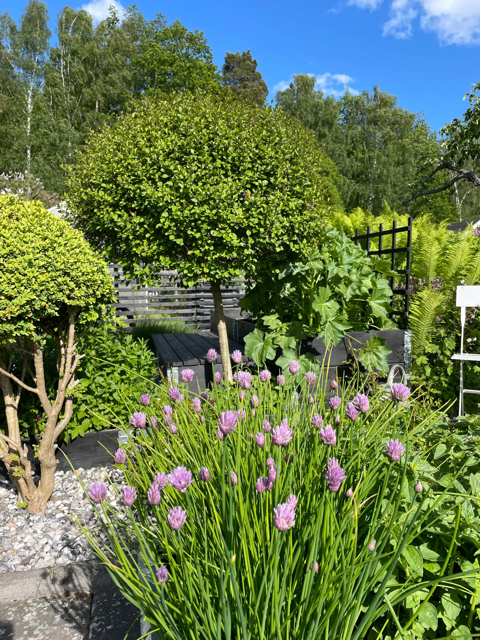 Fritidshus, Häggvägen 551 Valla Koloniområde, Valla koloniområde, Linköping