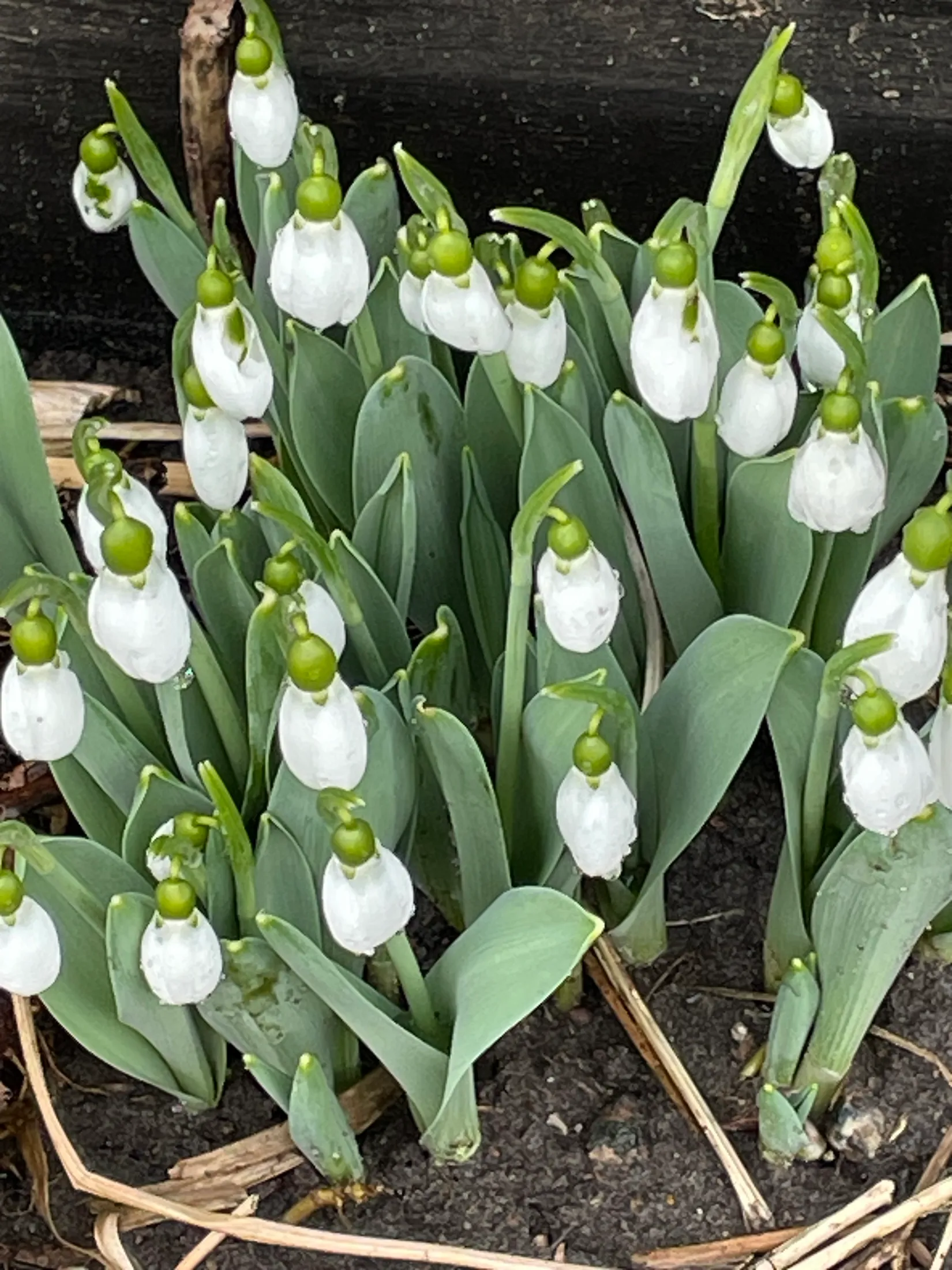 Fritidshus, Häggvägen 551 Valla Koloniområde, Valla koloniområde, Linköping